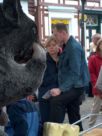 pferdemarkt14